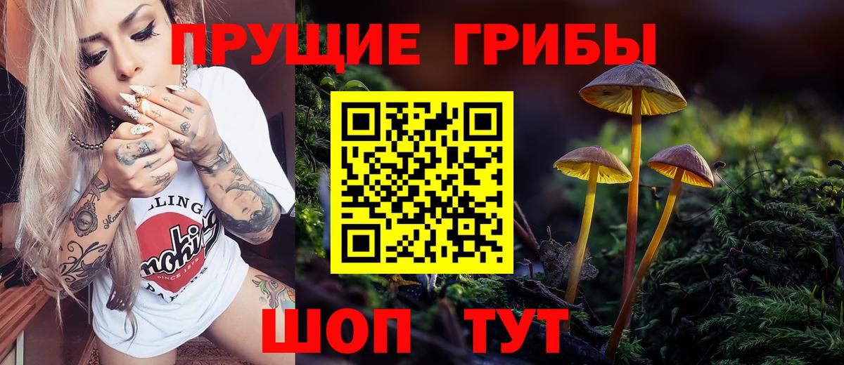 Псилоцибиновые грибы GOLDEN TEACHER  Вход с VPN  продажа наркотиков  Урюпинск 