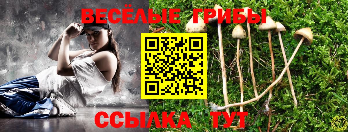 Галлюциногенные грибы MAGIC MUSHROOMS Урюпинск